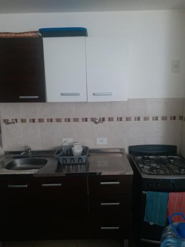une cuisine avec un évier et une cuisinière four supérieur dans l'établissement Departamento Amoblado 2 dormitorios, à Río Grande