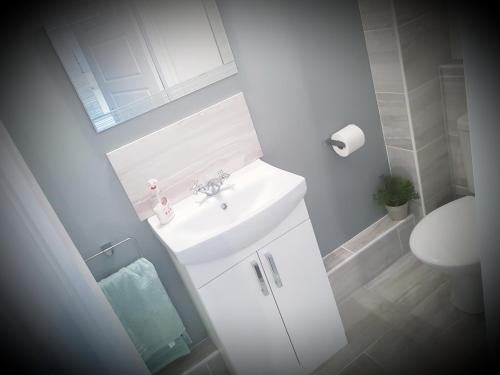 a white bathroom with a sink and a toilet at Chatterley House in Nottingham
