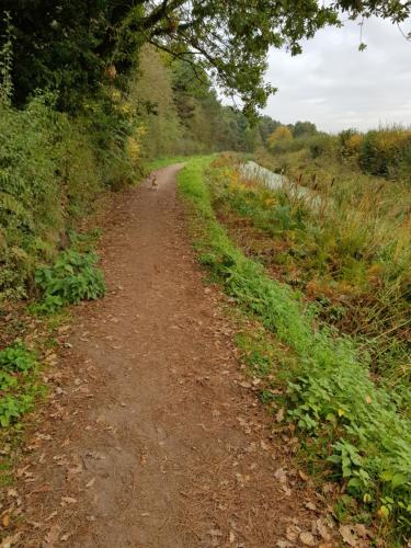 a dirt road in the middle of a field at Chatterley House in Nottingham