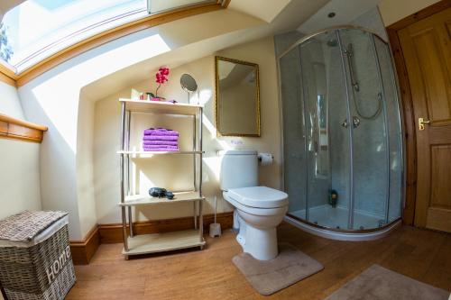 a bathroom with a shower and a toilet at Mulberry in Nairn