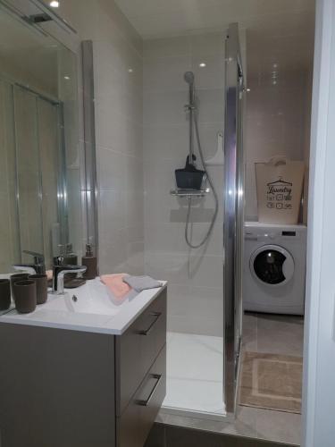 uma casa de banho com um lavatório e um chuveiro com uma máquina de lavar roupa em Au Julliard em Aix-les-Bains