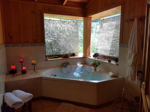 a large bath tub in a bathroom with two windows at Mavidahue in llifen