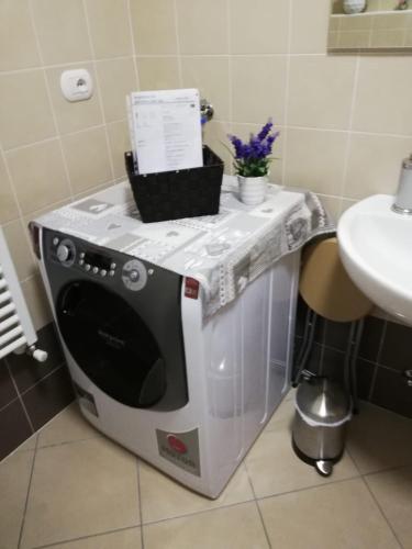 a washing machine sitting on a counter in a bathroom at Cà delle Rose in Rovereto