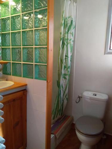 une salle de bain avec toilettes et rideau de douche dans l'établissement studio isabelle, à Saint-Chaffrey