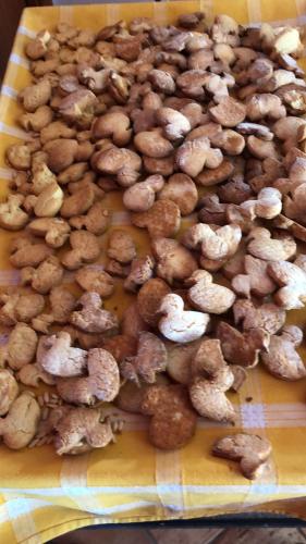 a pile of nuts sitting on top of a table at Country House Salomè in Musile di Piave
