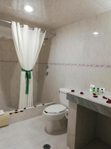 a bathroom with a toilet and a shower with a curtain at Hotel Santiago in Puebla