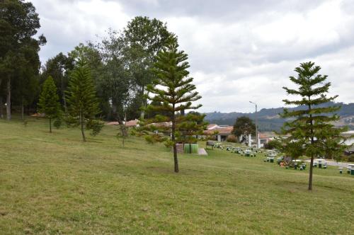 a group of trees in a field with picnic tables at D'Acosta Hotel Sochagota in Paipa