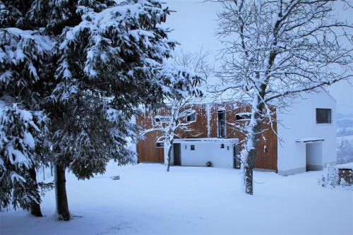 a snow covered yard with a house and trees at Apartmány Hutisko 769 in Hutisko