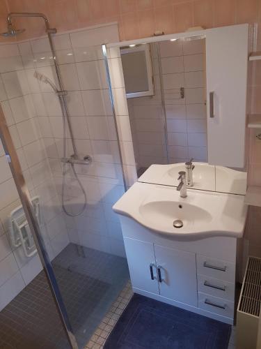 une salle de bain avec un lavabo et une douche dans l'établissement Maison chaleureuse La Meybel, à La Bresse