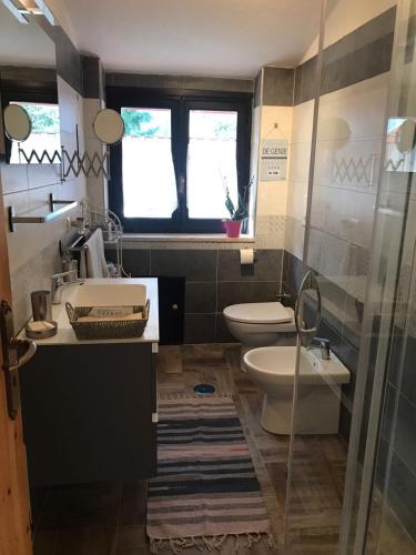 a bathroom with a toilet and a sink at Casa Marida in Camigliatello Silano