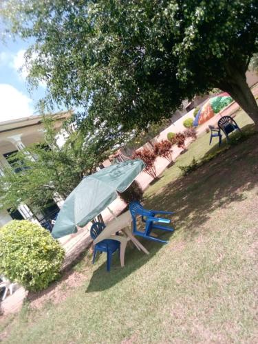 a group of lawn chairs sitting under a tree at Rena Akasha Establishments in Kyenjojo
