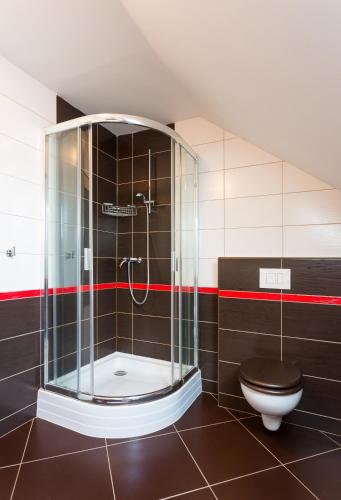 a bathroom with a shower and a toilet at Pension Tereza & Šumavské Roubenky in Sušice
