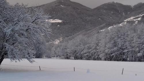 a snow covered field with trees and a mountain at Bauernhof Residence Hausergut with Ortler views, central and quiet position in Sluderno