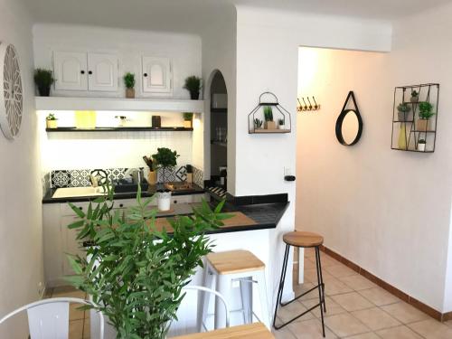 パラヴァ・レ・フロにあるSuperbe ! Appart T3 - Vue mer - Garageの白いキャビネットと植物のあるテーブル付きのキッチン
