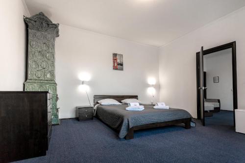 伊萬諾弗蘭克威斯克的住宿－Sunlit，一间卧室配有一张床和一面大镜子