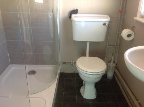 ein Bad mit einem WC, einer Dusche und einem Waschbecken in der Unterkunft Angels Corner, Ventnor Bay in Ventnor