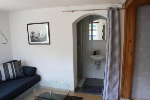 uma sala de estar com um sofá azul e um lavatório em BlackforestBike&HikeHouse em Baiersbronn
