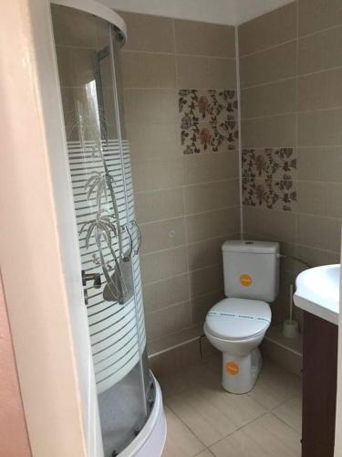 a bathroom with a toilet and a shower and a sink at Sport Residence in Bacău