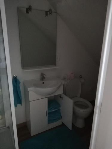 une salle de bain avec un lavabo, des toilettes et un miroir dans l'établissement les fermiers, à Giremoutiers