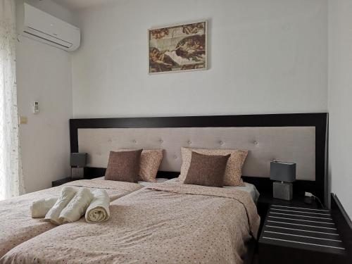 1 dormitorio con 2 camas con almohadas en Alexandros en Aridaia
