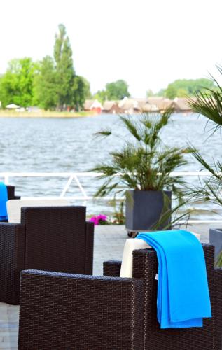 a group of chairs with a view of the water at Hotel Müritzterrasse in Röbel