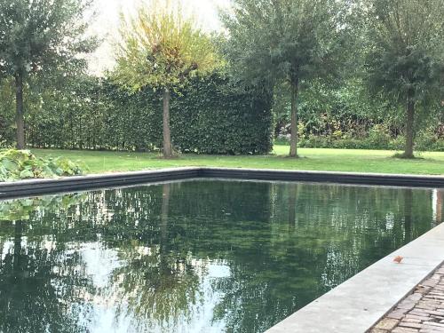 a pool of water with trees in a yard at Vijverhoef in Ulicoten