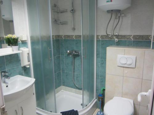 a bathroom with a shower and a toilet and a sink at Cernogoriya voyage in Rafailovici