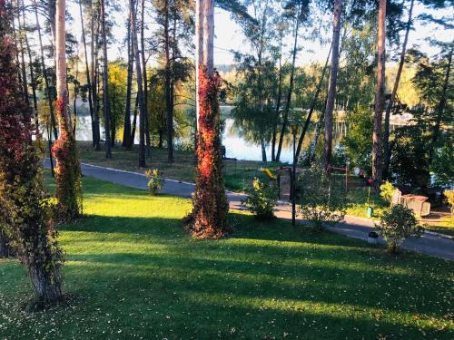 a view of a park with trees and a road at SPA Hotel in Vorzelʼ