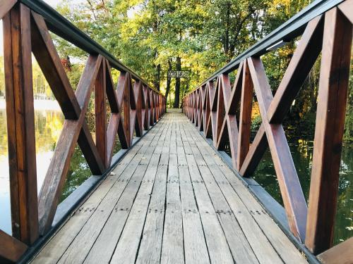 a wooden bridge over a body of water at SPA Hotel in Vorzelʼ