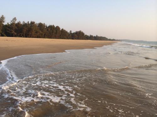 a view of the shoreline of a beach at OmBodhi Retreat in Kumta