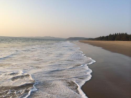 a view of the shoreline of a beach at OmBodhi Retreat in Kumta