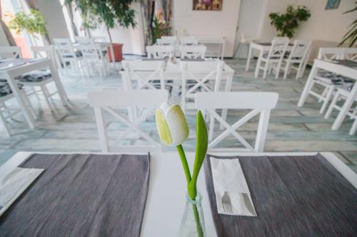 a flower in a vase on a table with chairs at Penzión Exclusive in Trenčín