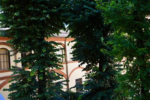 Foto bright and silent apartment near two towers 6