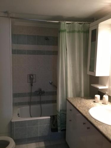 a bathroom with a shower and a tub and a sink at VILLA EIRINI in Pefki