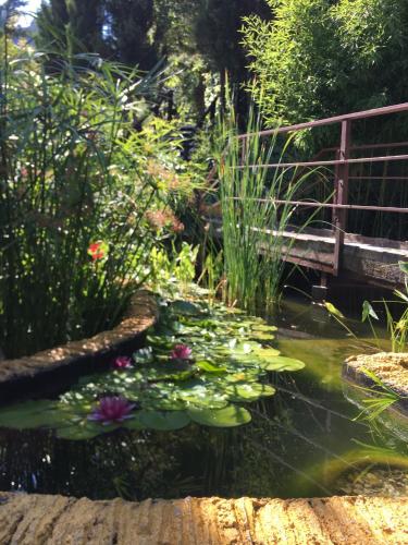 a garden with a pond with lilies and a bridge at Cabañas De Madera Y Bungalows - Gilmañas 3 in La Iruela