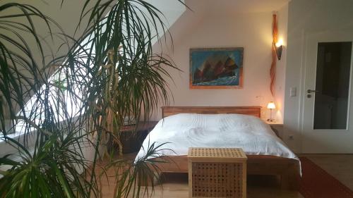 グリュックスブルクにあるFerienwohnung Seeblickのベッドルーム(ベッド1台、鉢植えの植物付)