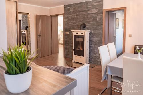Kuchyň nebo kuchyňský kout v ubytování Apartmán na Lipně