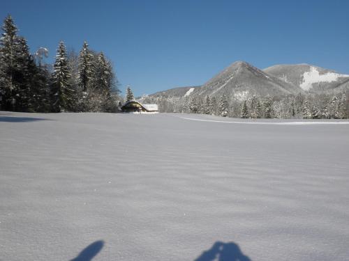 a large snow covered field with trees and a mountain at Ferienwohnung Claudia in Faistenau