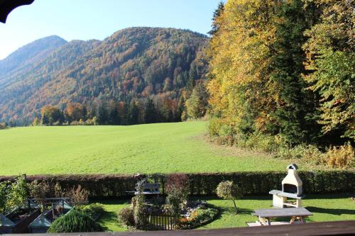 a view of a field with a bench and trees at Ferienwohnung Claudia in Faistenau