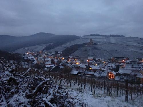 Ecologis du Vignoble semasa musim sejuk