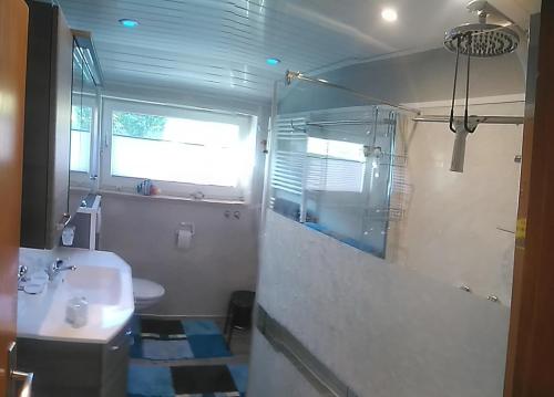 uma casa de banho com um WC, um lavatório e um chuveiro em Haus Stammecke em Winterberg