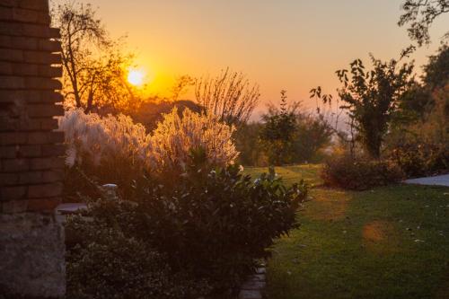 a sunset in a yard with a bush at Brucknergut in Linz