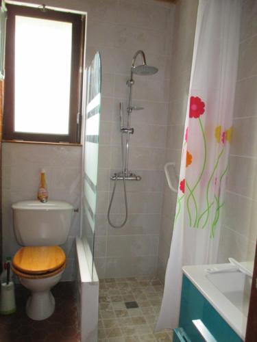 a bathroom with a toilet and a shower at Gîte Habas in Habas