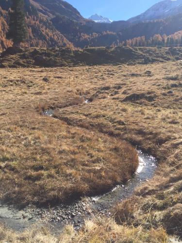a stream in a field with mountains in the background at Chalet E Toue in Nendaz