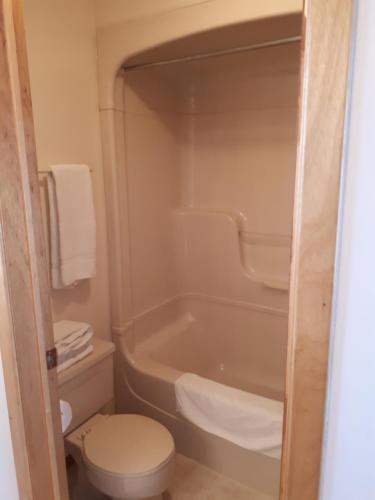 Bear Tracks Inn في ليونز هيد: حمام مع مرحاض وحوض استحمام