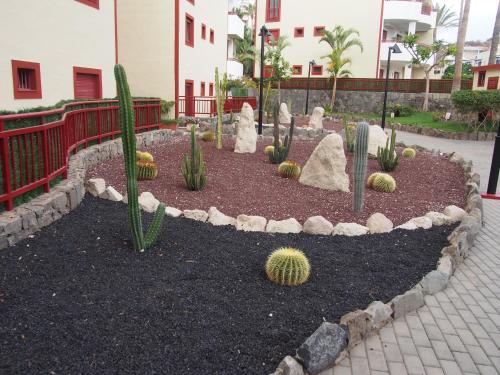 a garden with cacti and other plants in a courtyard at Maravilloso y tranquilo alojamiento en el Palm-Mar in Palm-mar