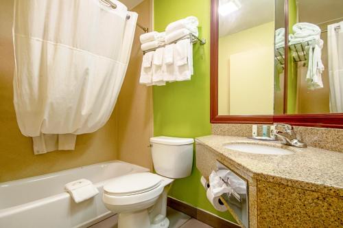 a bathroom with a toilet and a sink and a mirror at Quality Inn & Suites Glenmont - Albany South in Glenmont