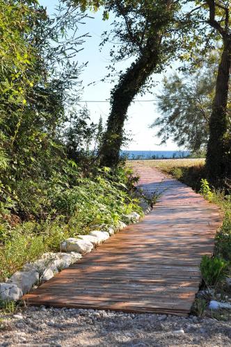a wooden path with trees on either side at Apartments Villa Marija in Petrovac na Moru