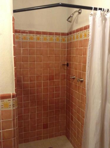 a bathroom with a shower with a shower curtain at Posada Yolihuani in Pátzcuaro
