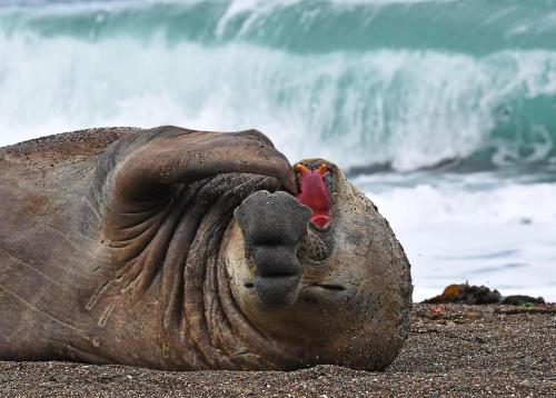 Φωτογραφία από το άλμπουμ του La Antonieta Estancia de Mar σε Dos Pozos